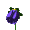 blueflower.gif (1915 bytes)