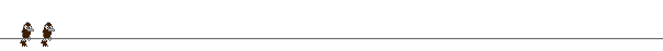 black bird.gif (7152 bytes)